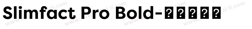 Slimfact Pro Bold字体转换
